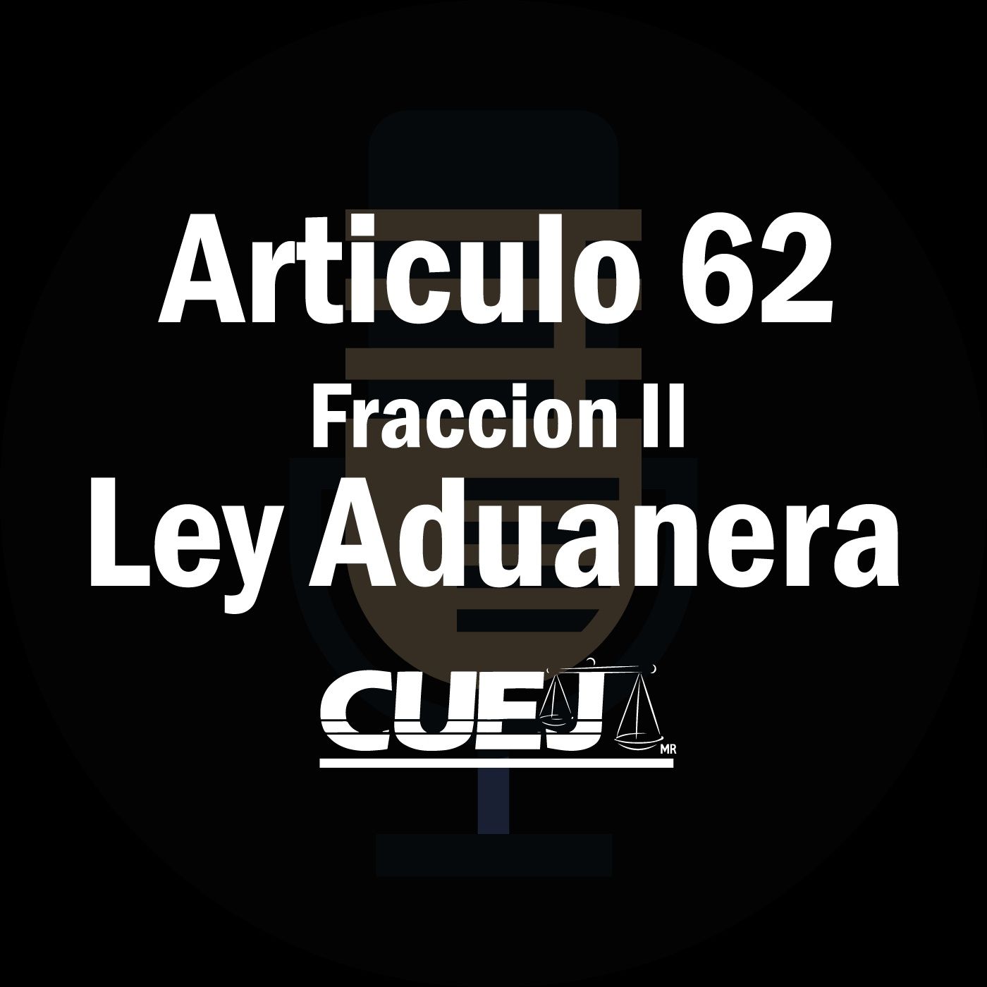 Audio Ley Aduanera
