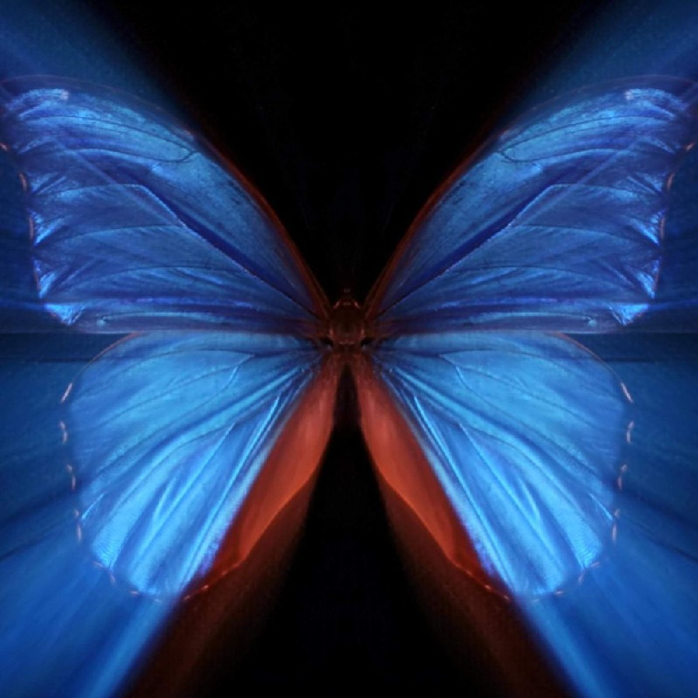 Butterfly Effect episode artwork
