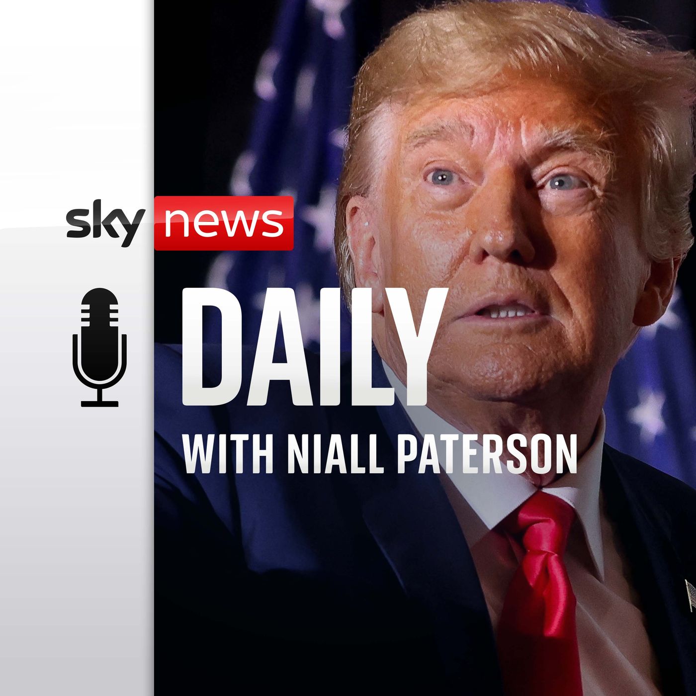 Campaigns and court appearances: How could Donald Trump's 2024 play out?