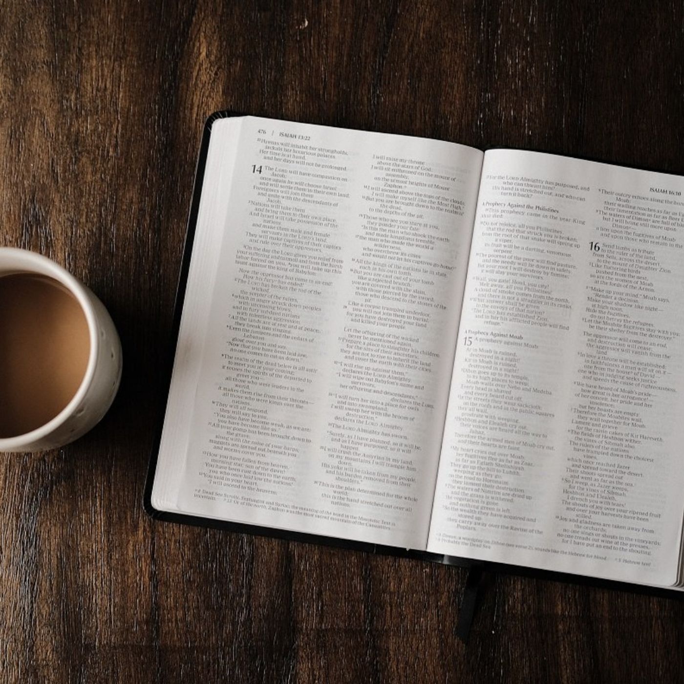 Proverbs chapter 14