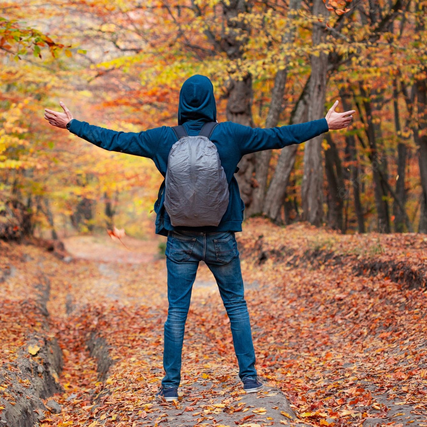 Vida, naturaleza, felicidad, filosofía