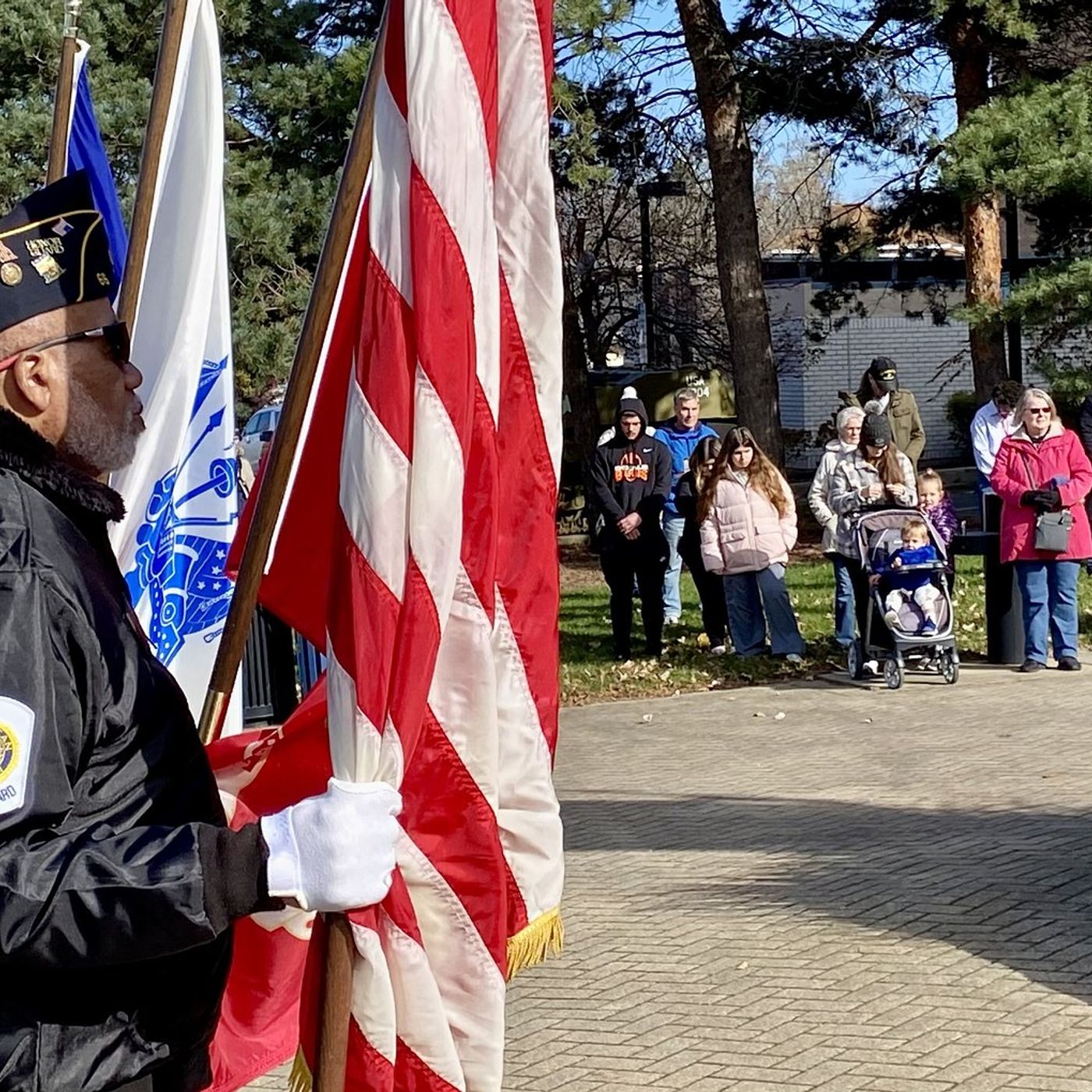 DeKalb Veterans Day ceremony is Tuesday downtown episode artwork