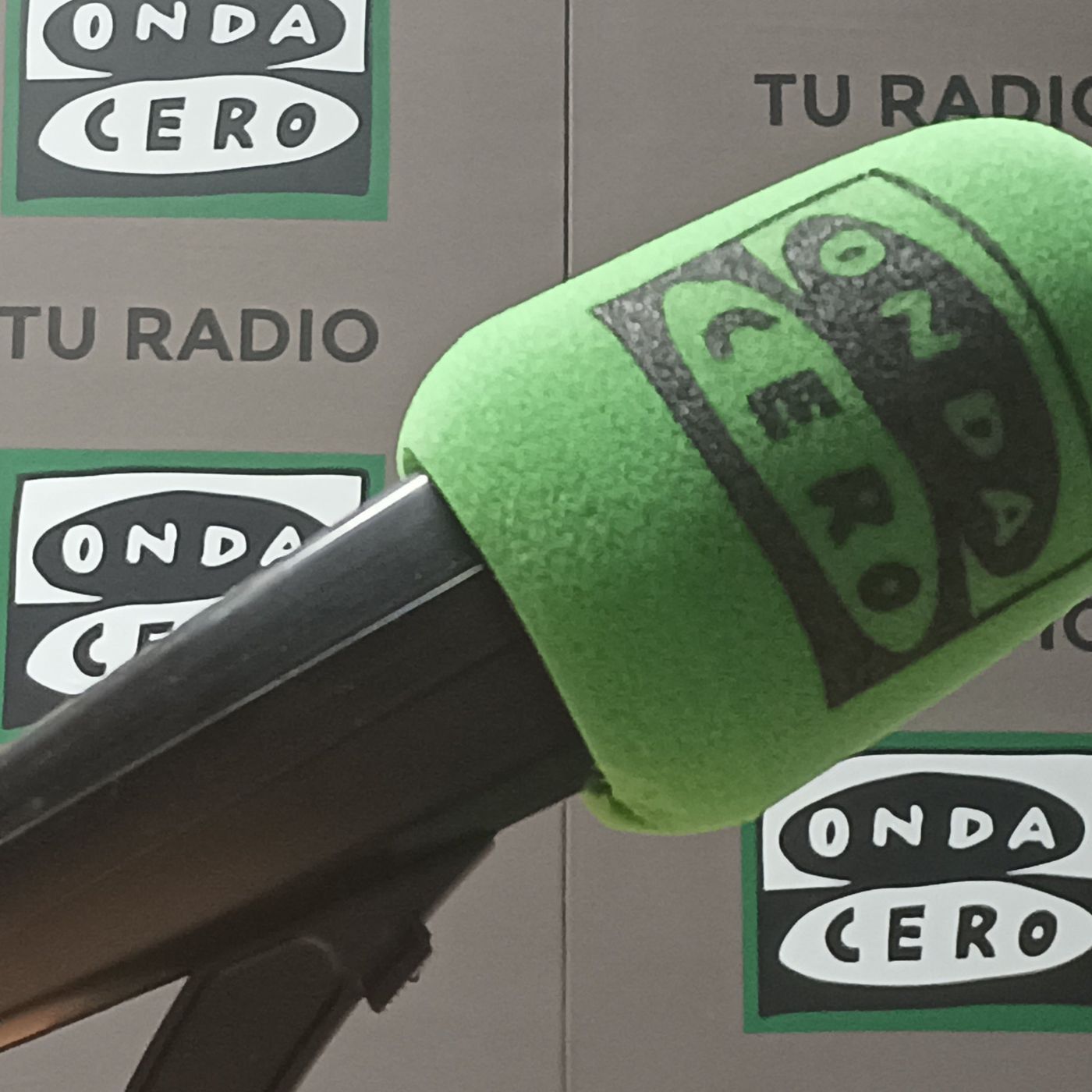 La curiosidad local: El mayor siluro de España