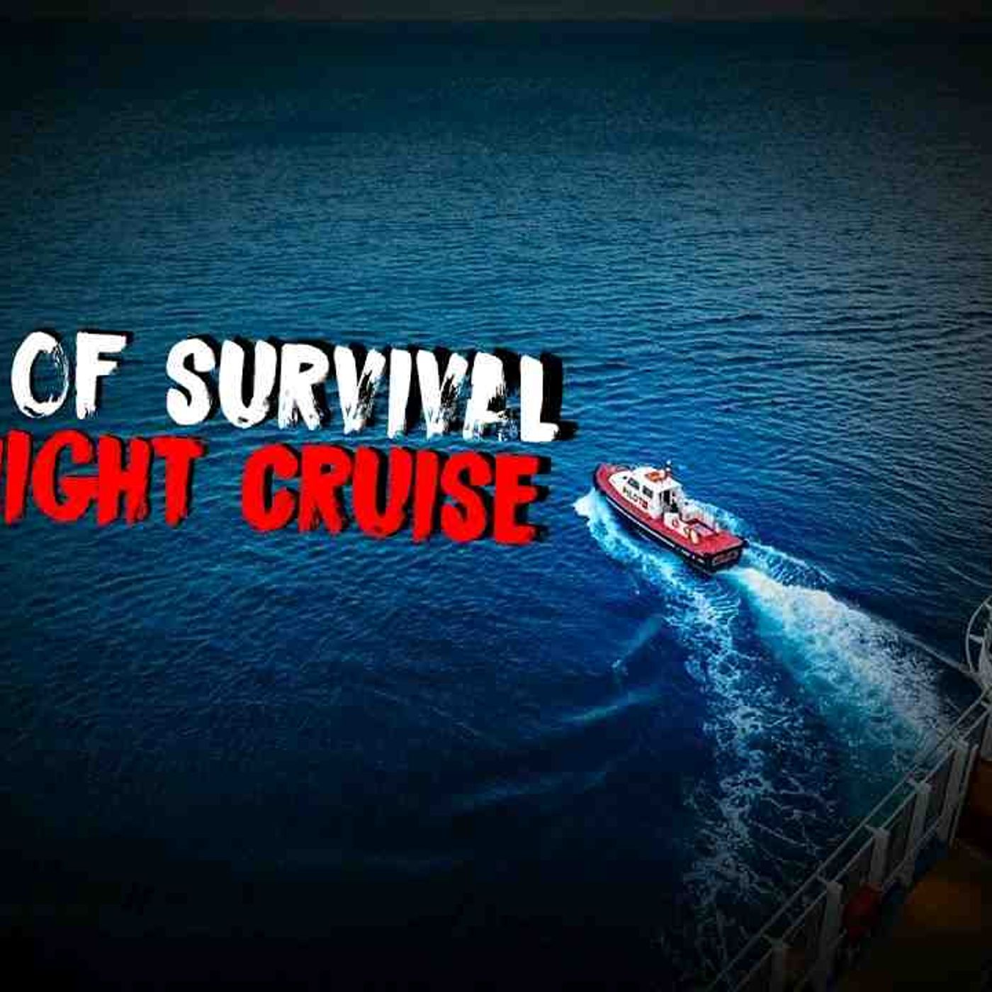 5 Rules Of Survival For A Night Cruise