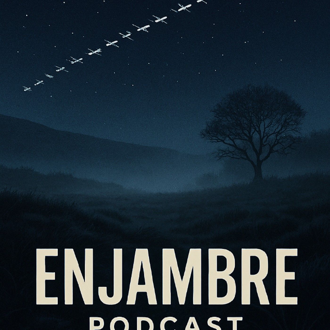 Enjambre Satelital cover art