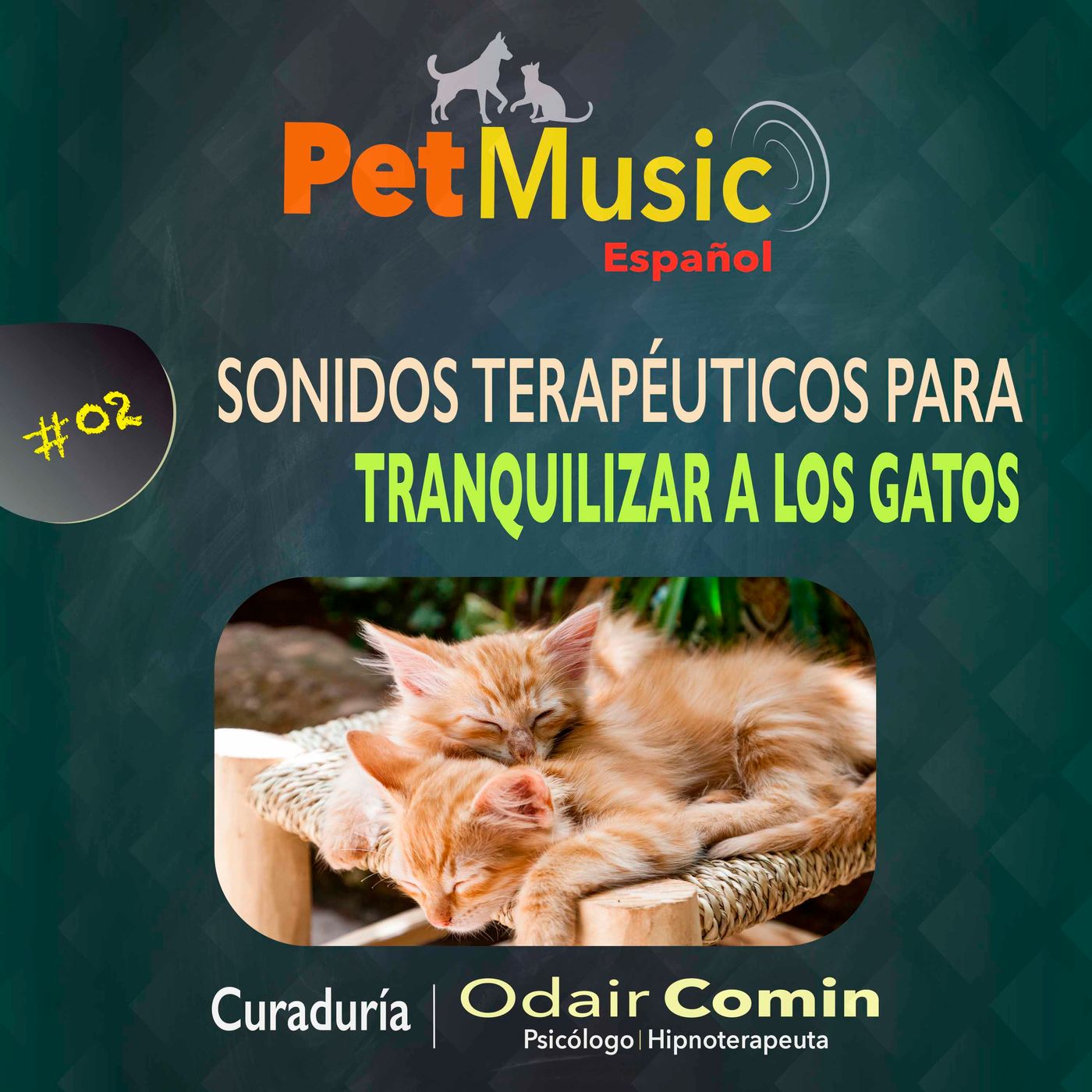 #02 Sonidos Terapéuticos para Tranquilizar Gatos | PetMusic