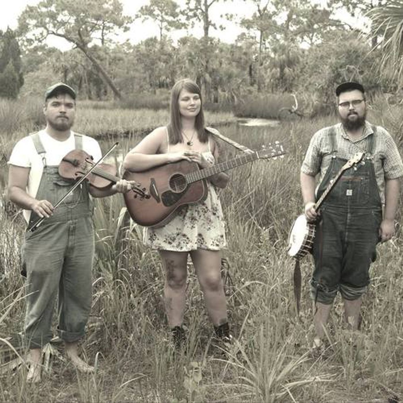 STILLHOUSE SHAKERS "YOU ARE MY SUNSHINE" mp3