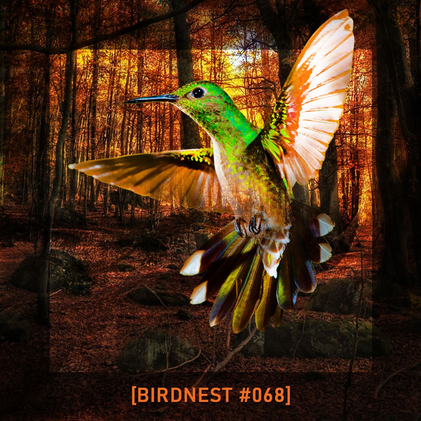 Birdnest Podcast // SoUnday in Deep Flight