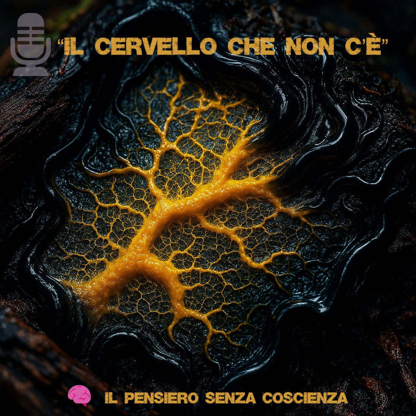 Fuori Scala - Ai Limiti della Scienza