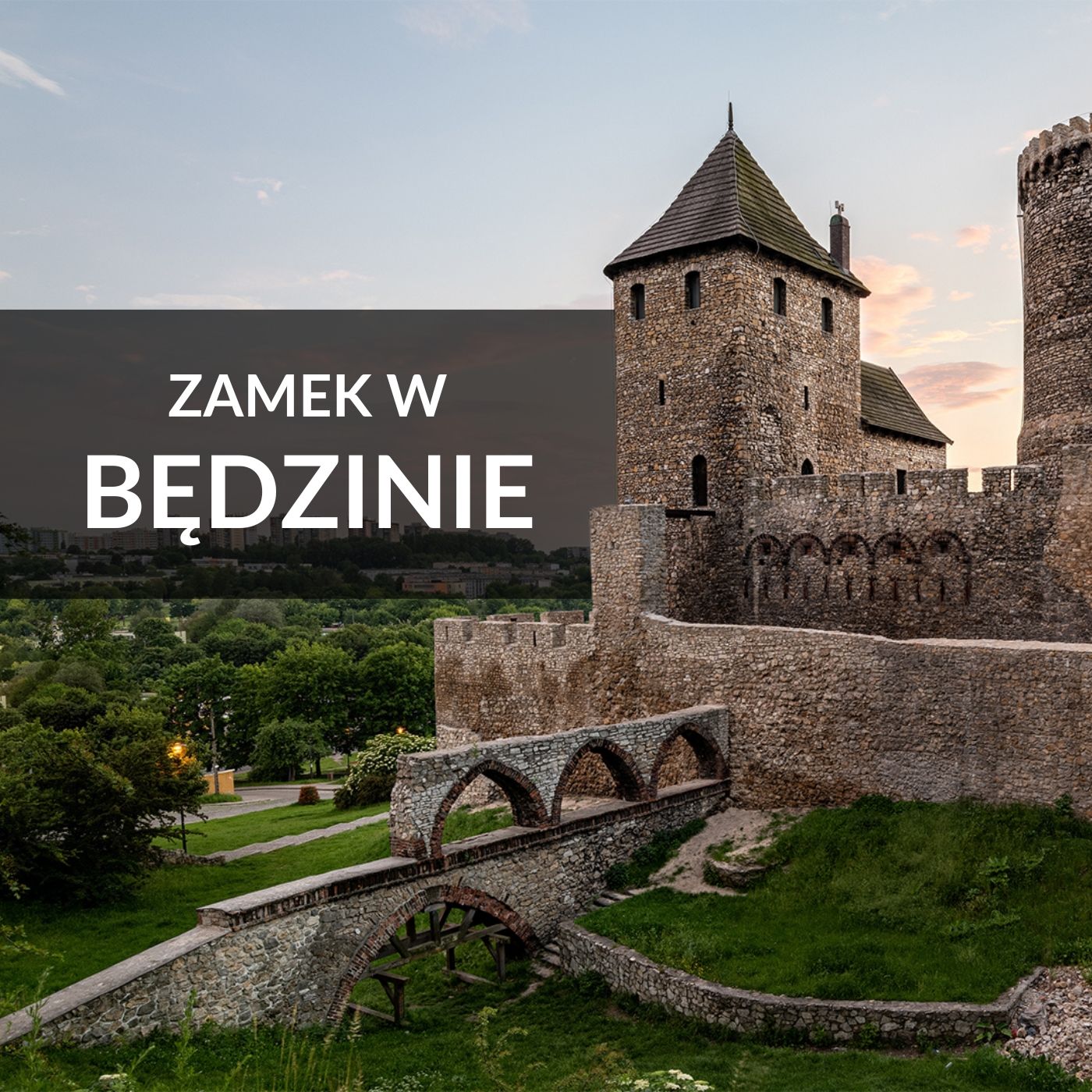 Zagłębie Młodych