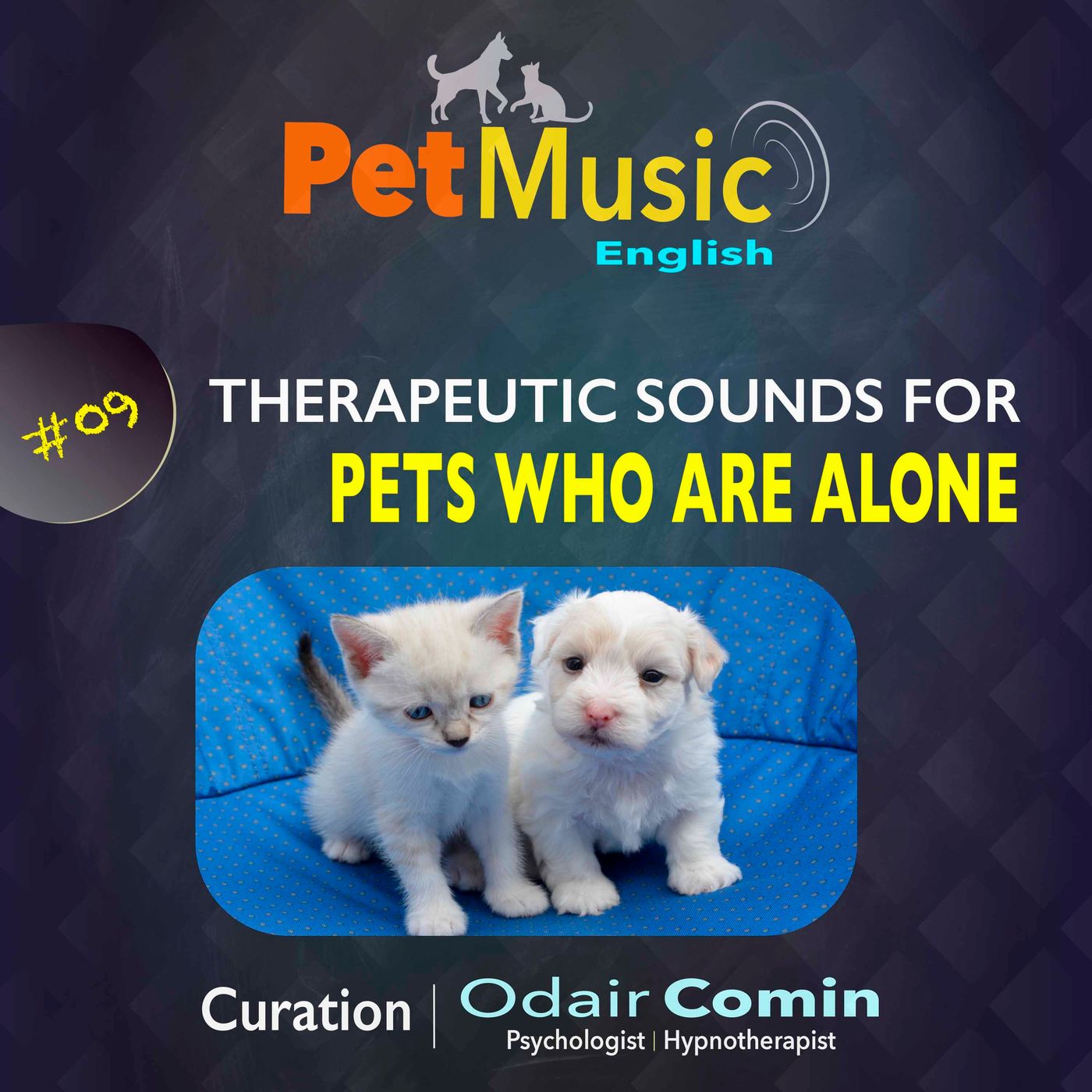#09 Therapeutic Sounds for Pets who are Alone | PetMusic