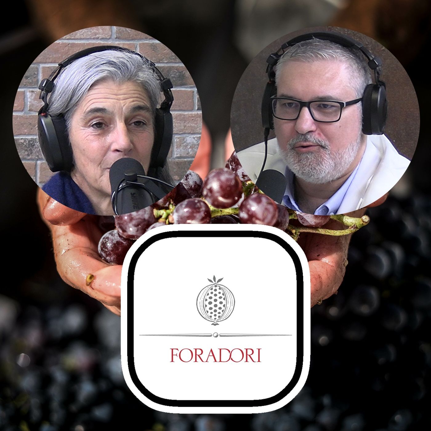 Storie di Vino e Viticoltori