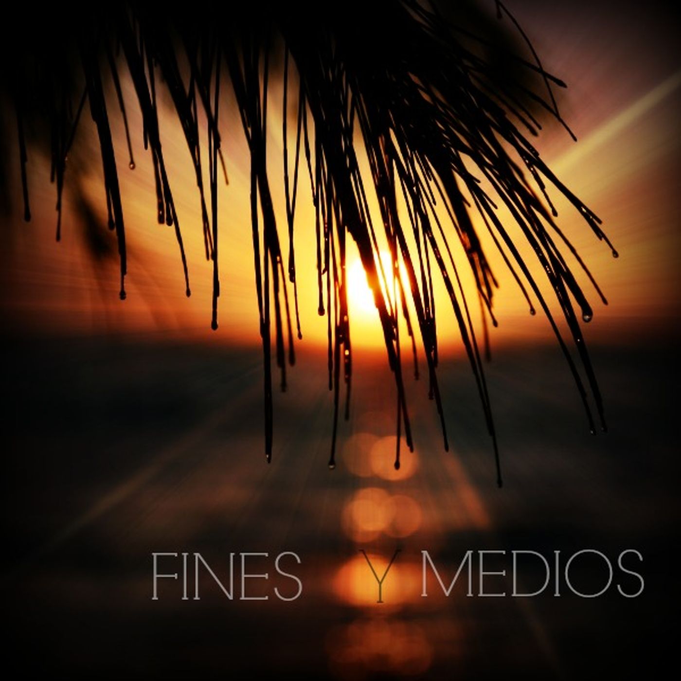 Fines y Medios