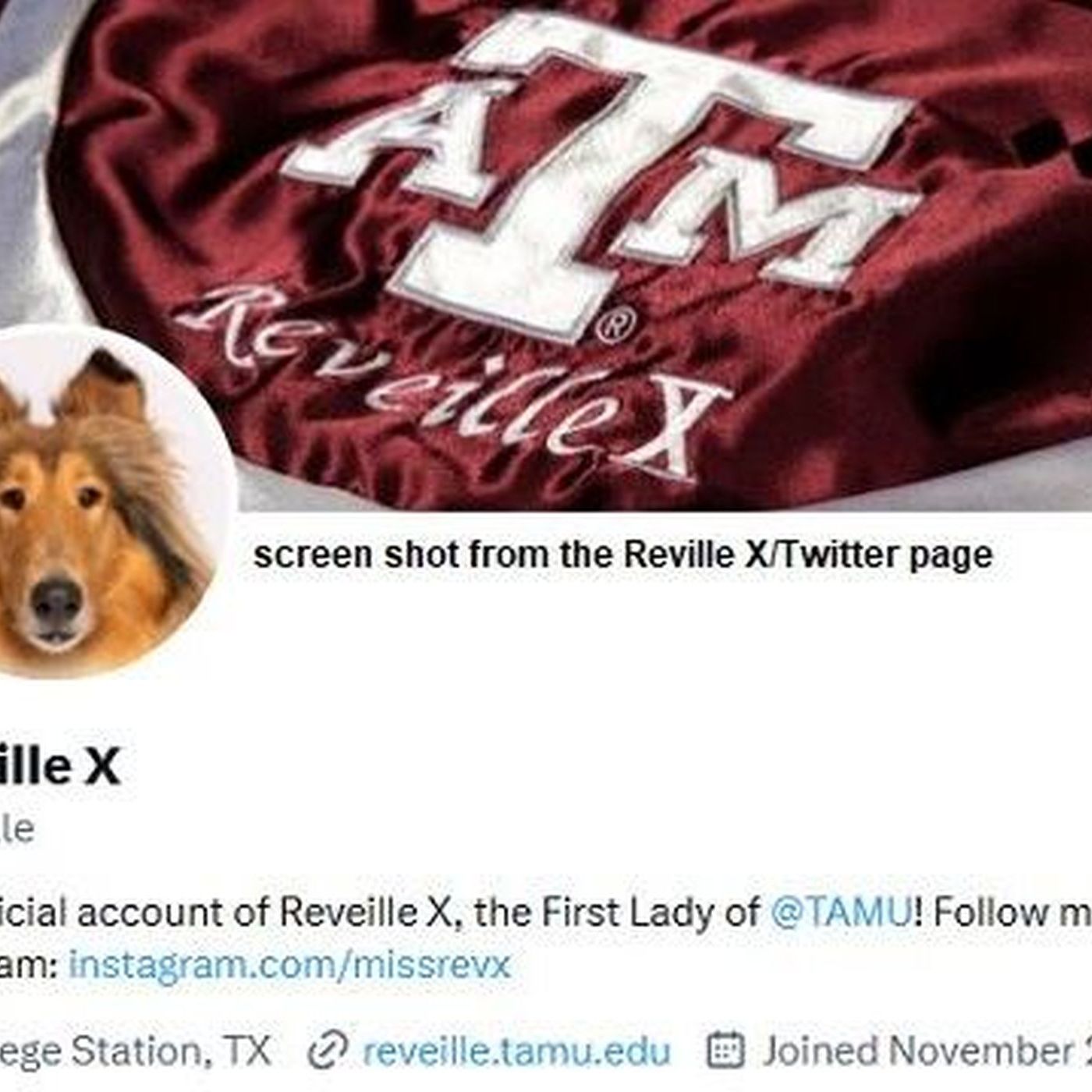 Reveille X recovering from eye surgery episode artwork