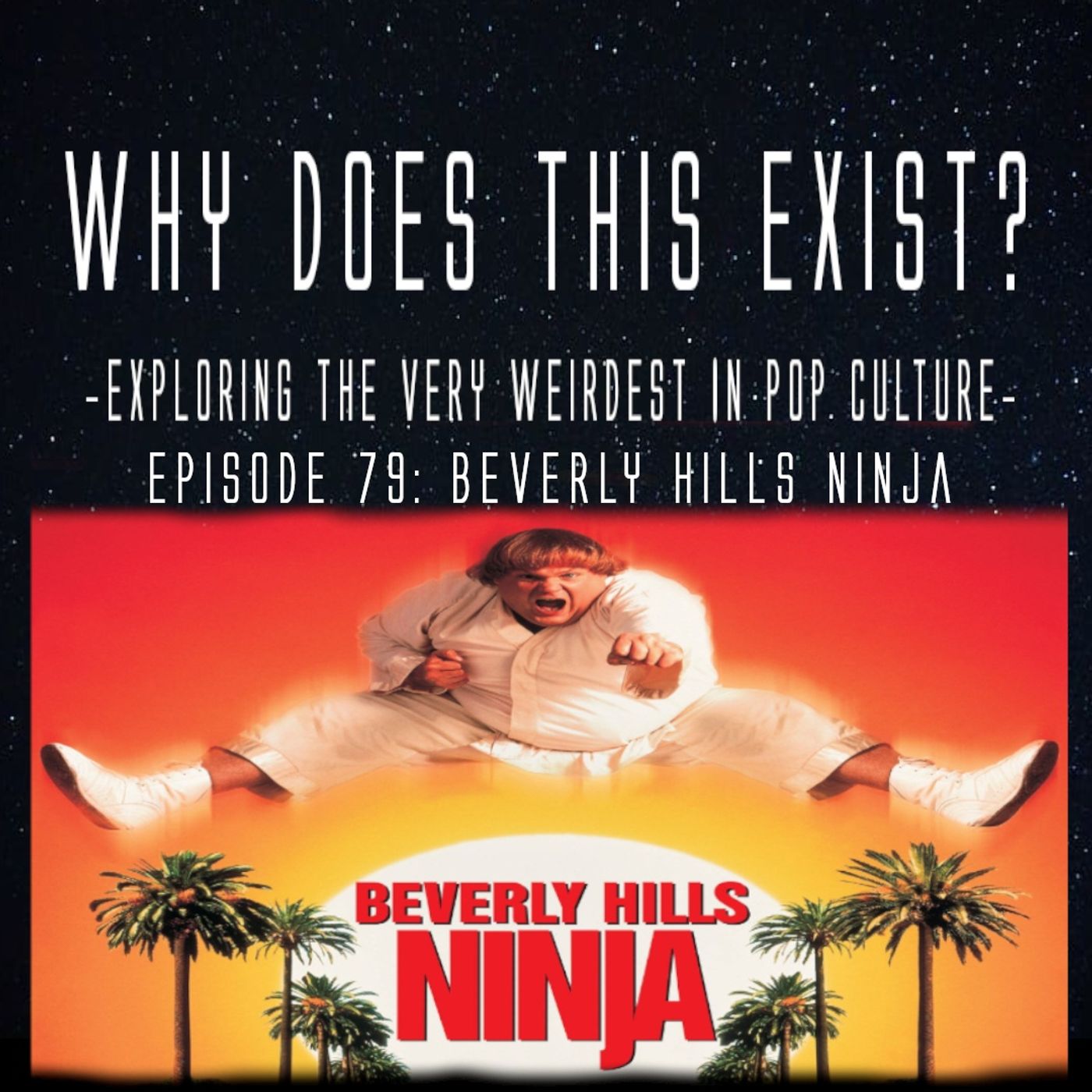 Episode 79: Beverly Hills Ninja episode artwork