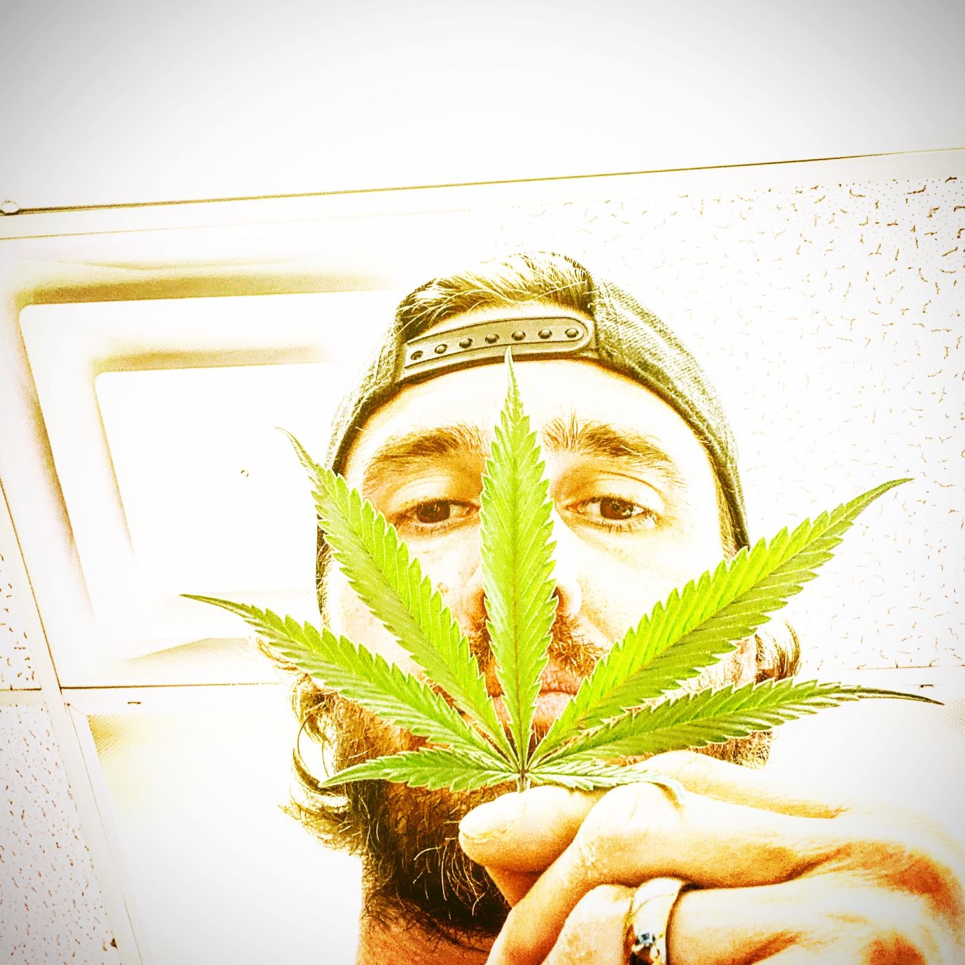 Toke’n White Guy 14 Minutes Of Freedom