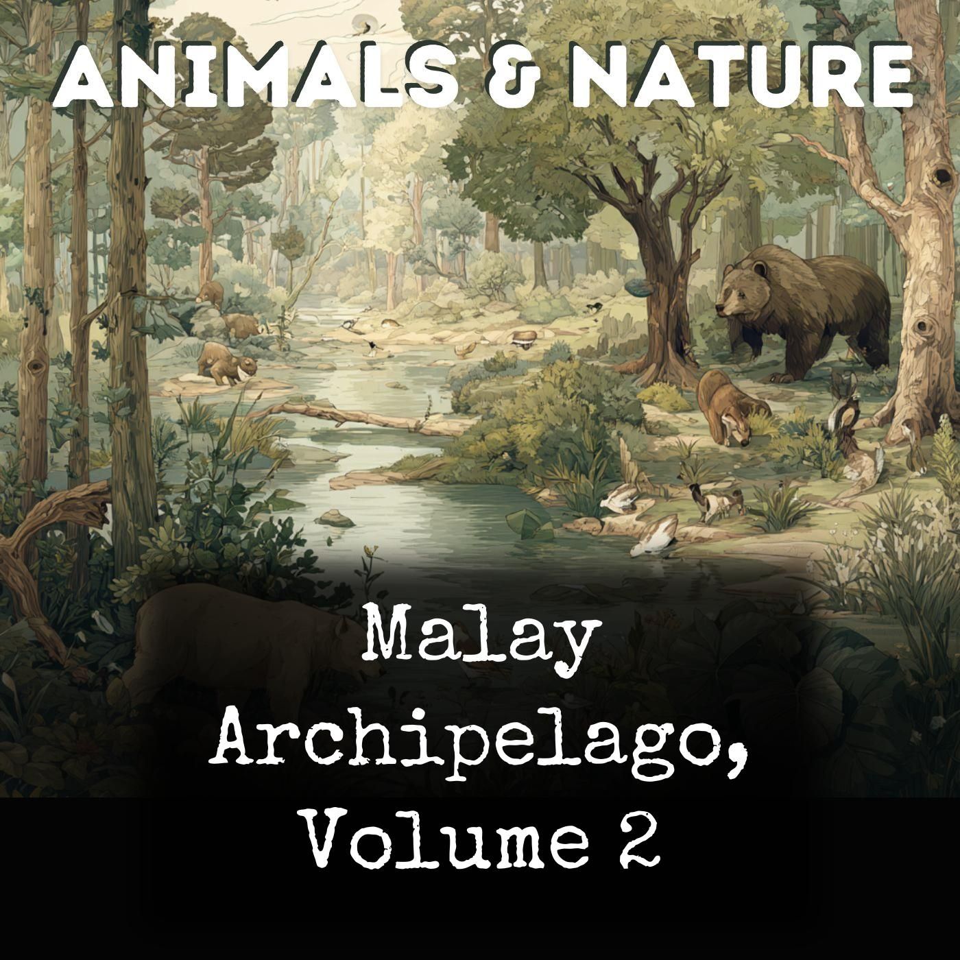 Malay Archipelago, Volume 2 cover art