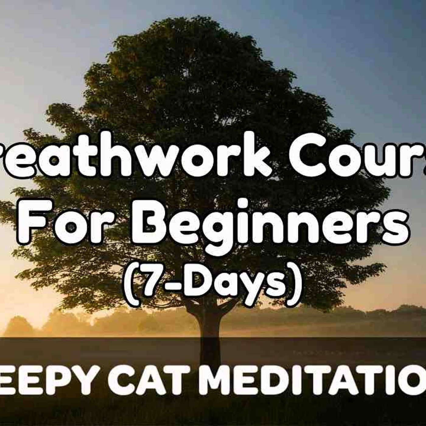 Exploring The Breath In 7-Days (Beginner Breathwork _ Meditation Course)(MP3_160K)