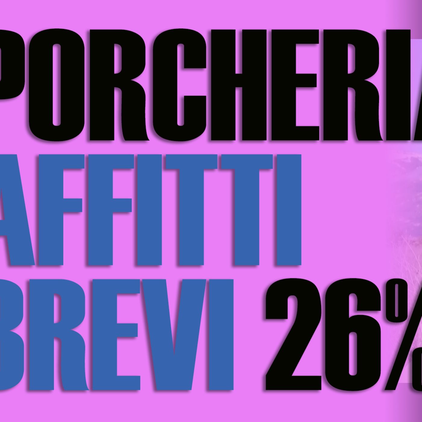 La PORCHERIA degli AFFITTI brevi episode artwork