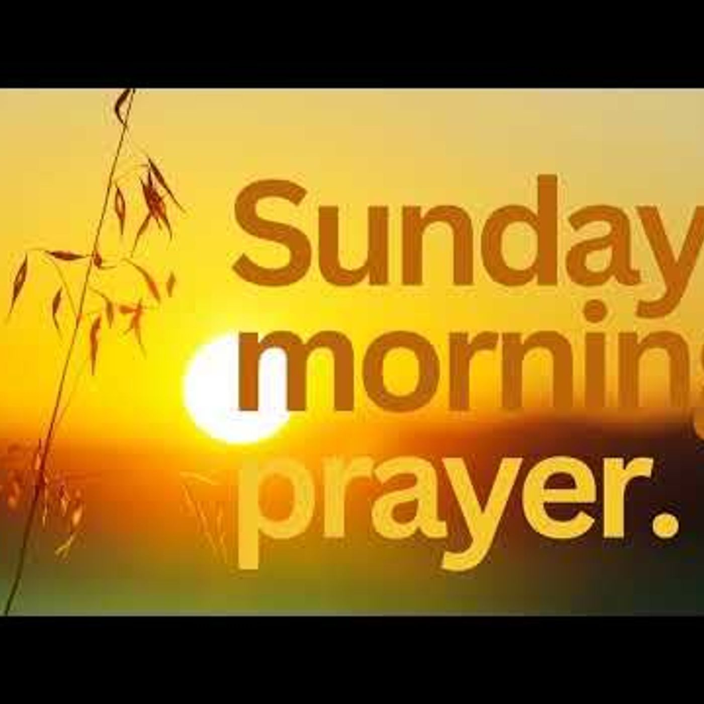 PT&HC Sunday Morning Prayer Call (Marvin Carter) June 30, 2024 episode artwork