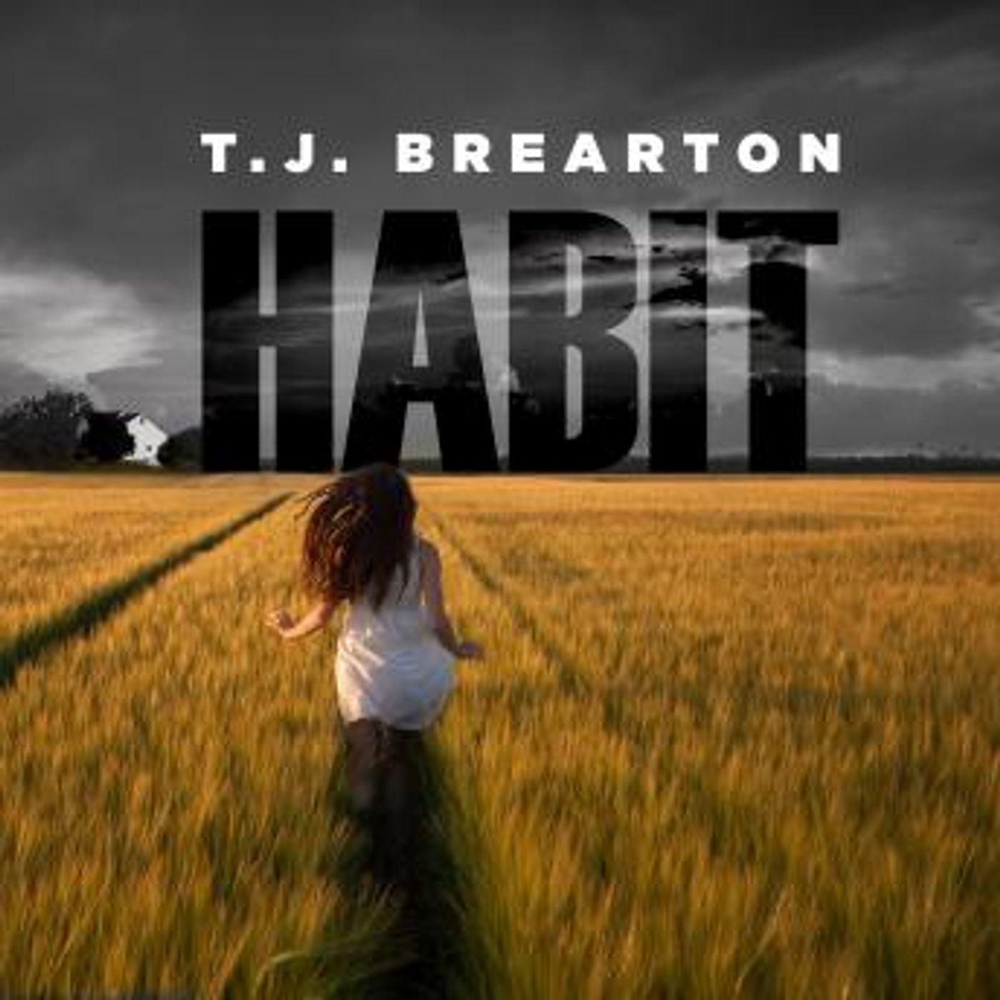Full Audiobooks in Mystery, Thriller & Horror, Police & Detective