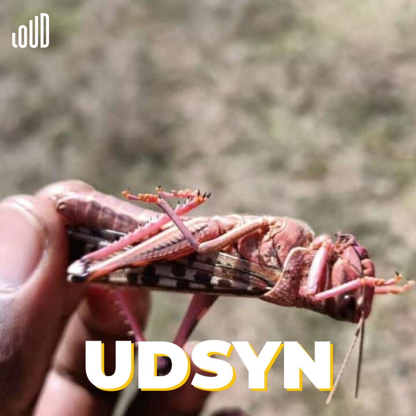 Udsyn