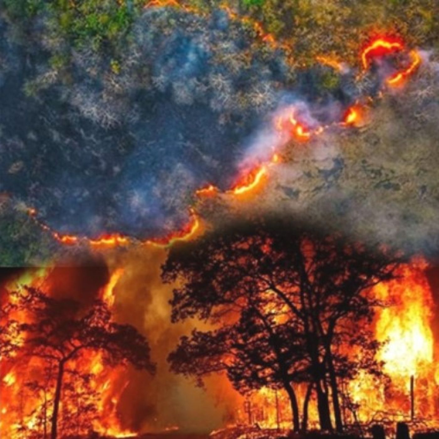 هیرکانی می سوزد؛ حکومت تماشا می کند - صلاح عبدالله نژاد