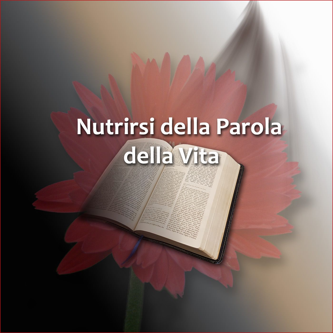 Nutrirsi della Parola della Vita