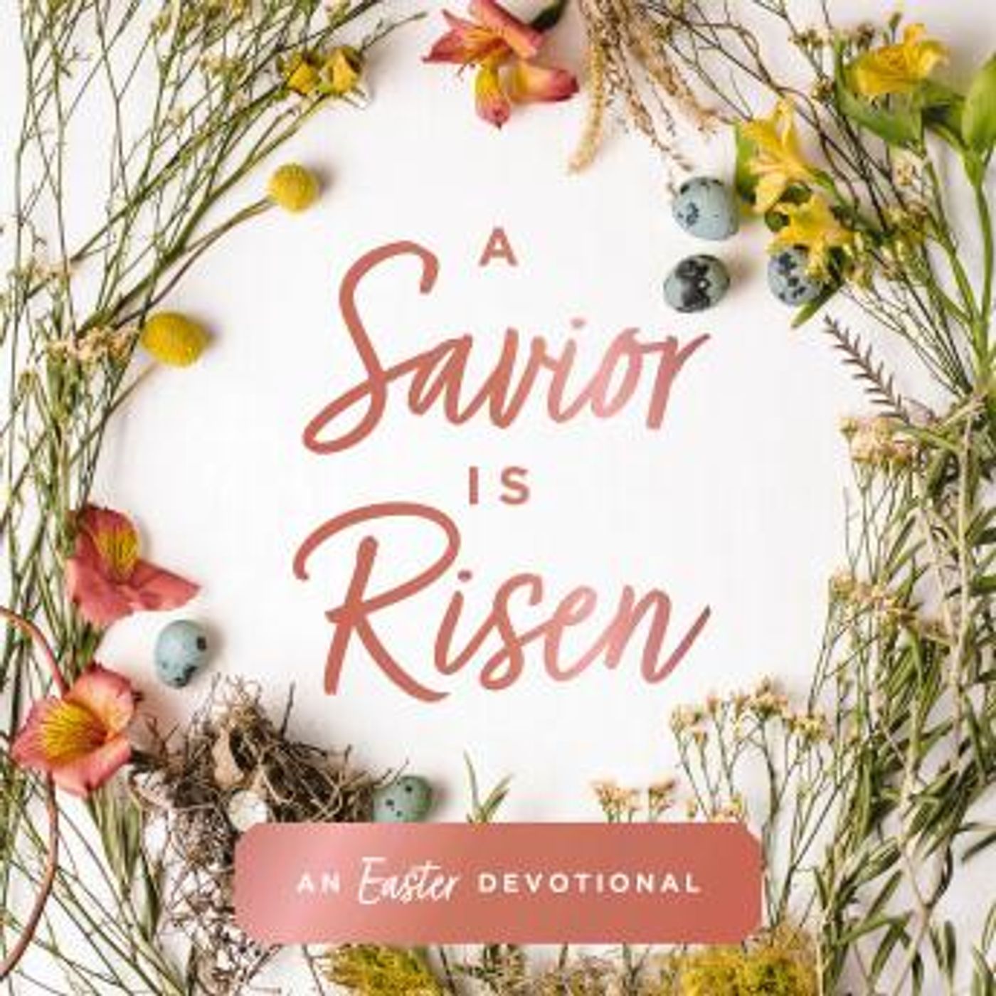 Access Must-Have Full Audiobooks in Religion & Spirituality, Christianity