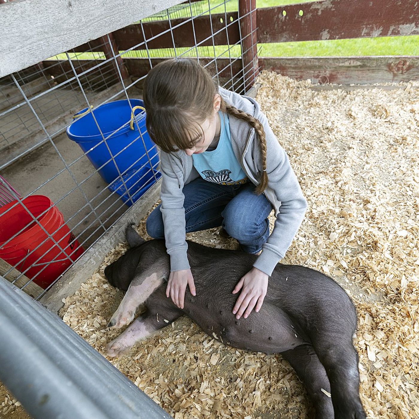 Lee County Ag Expo marks 20 years of farm, food fact finding episode artwork