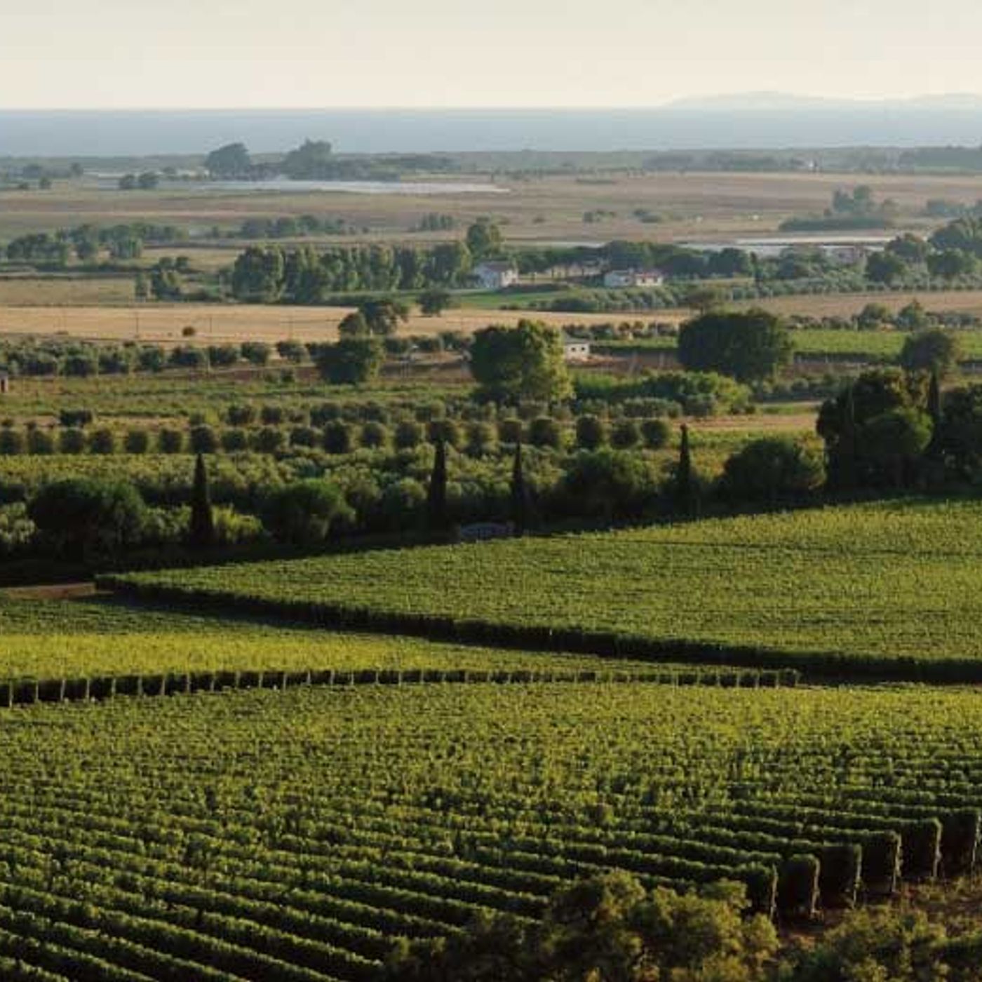 120 - Maremma, terra selvaggia e ricca di storia