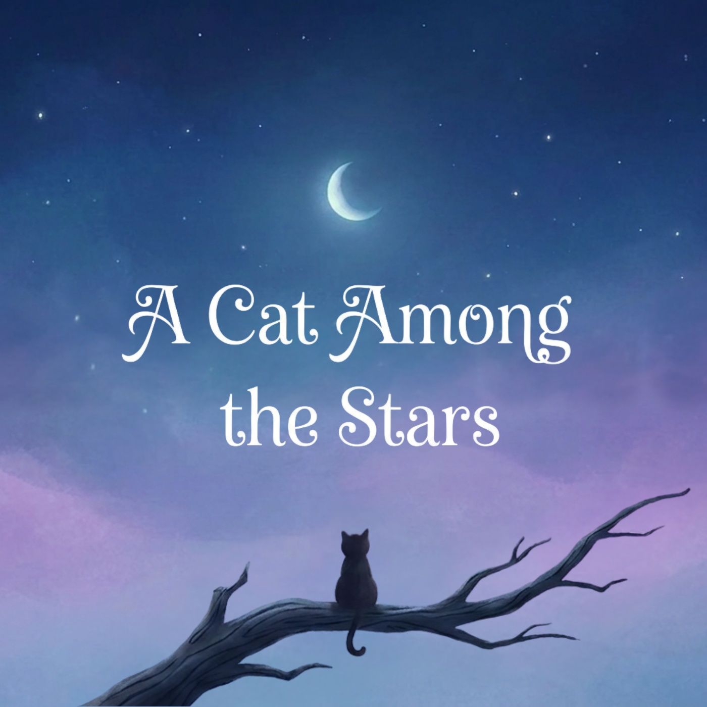 A Cat Among the Stars ✨🌙 - A Cozy Bedtime Story for Grown Ups