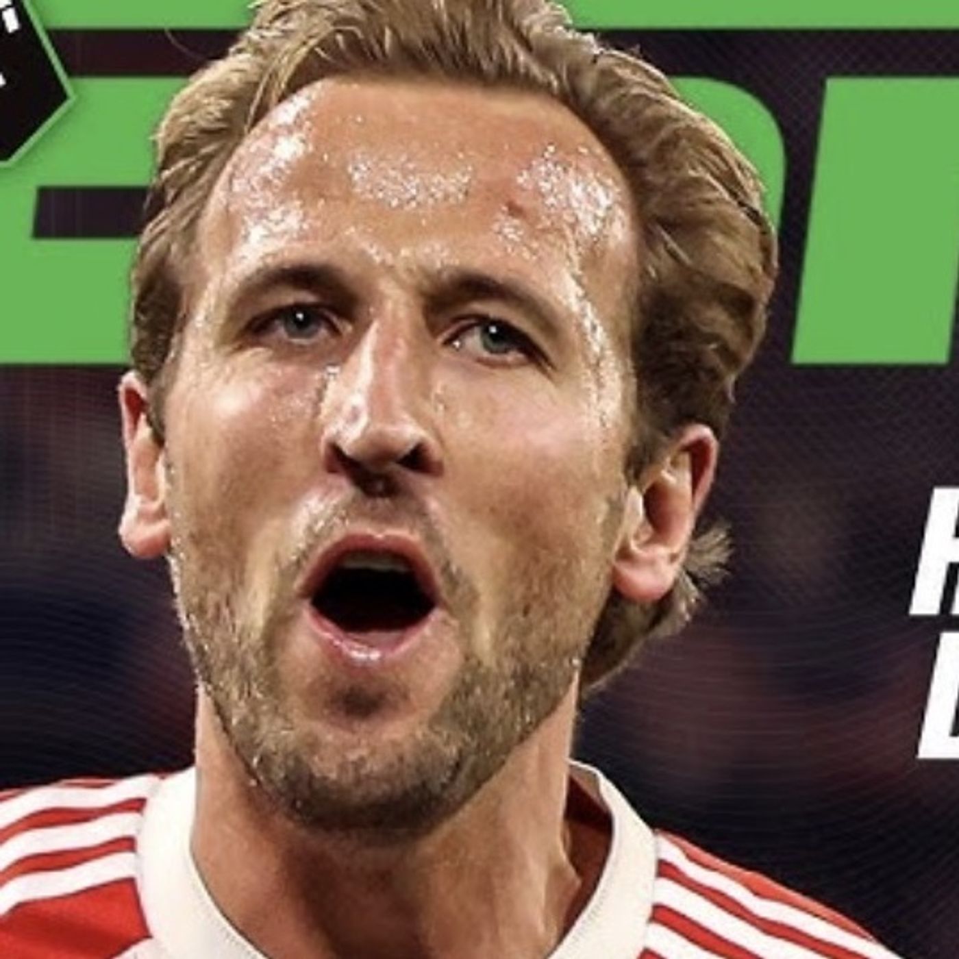 The Football Referee