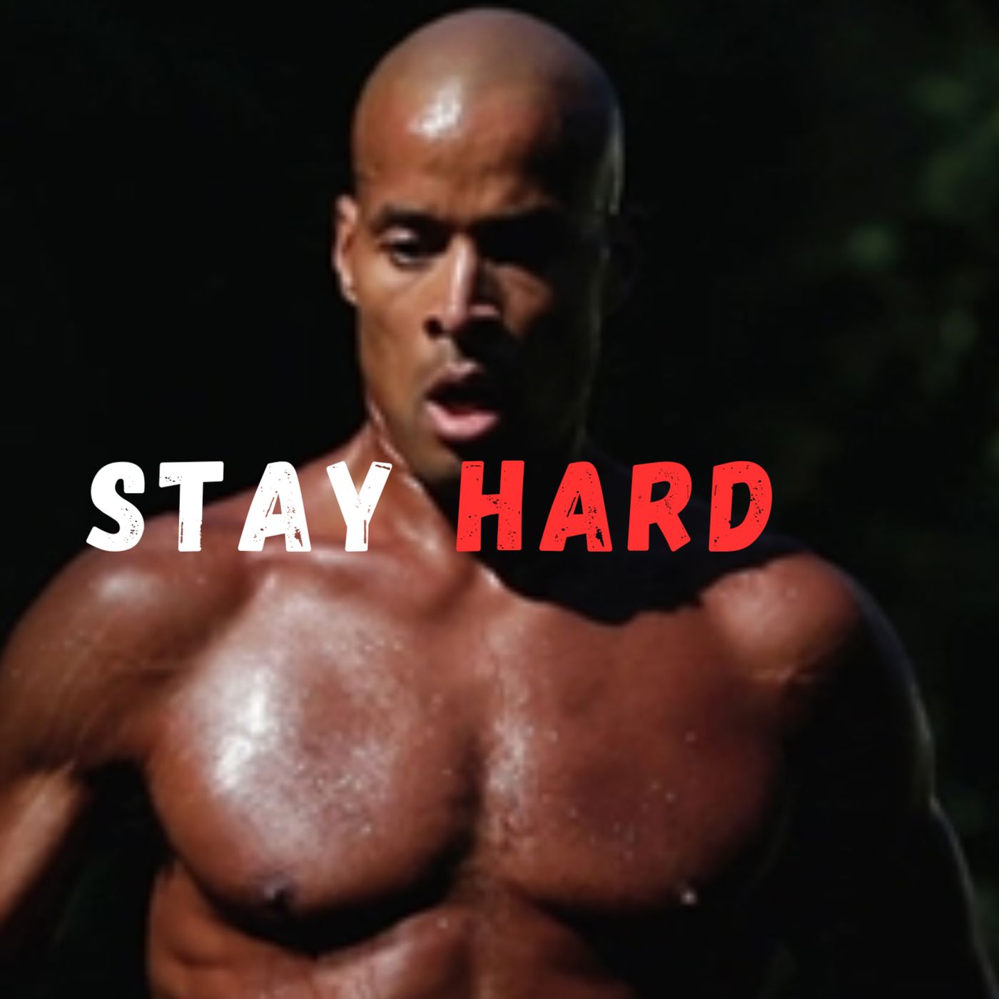 5 Minutes of Powerful Motivation David Goggins Fillip episode artwork
