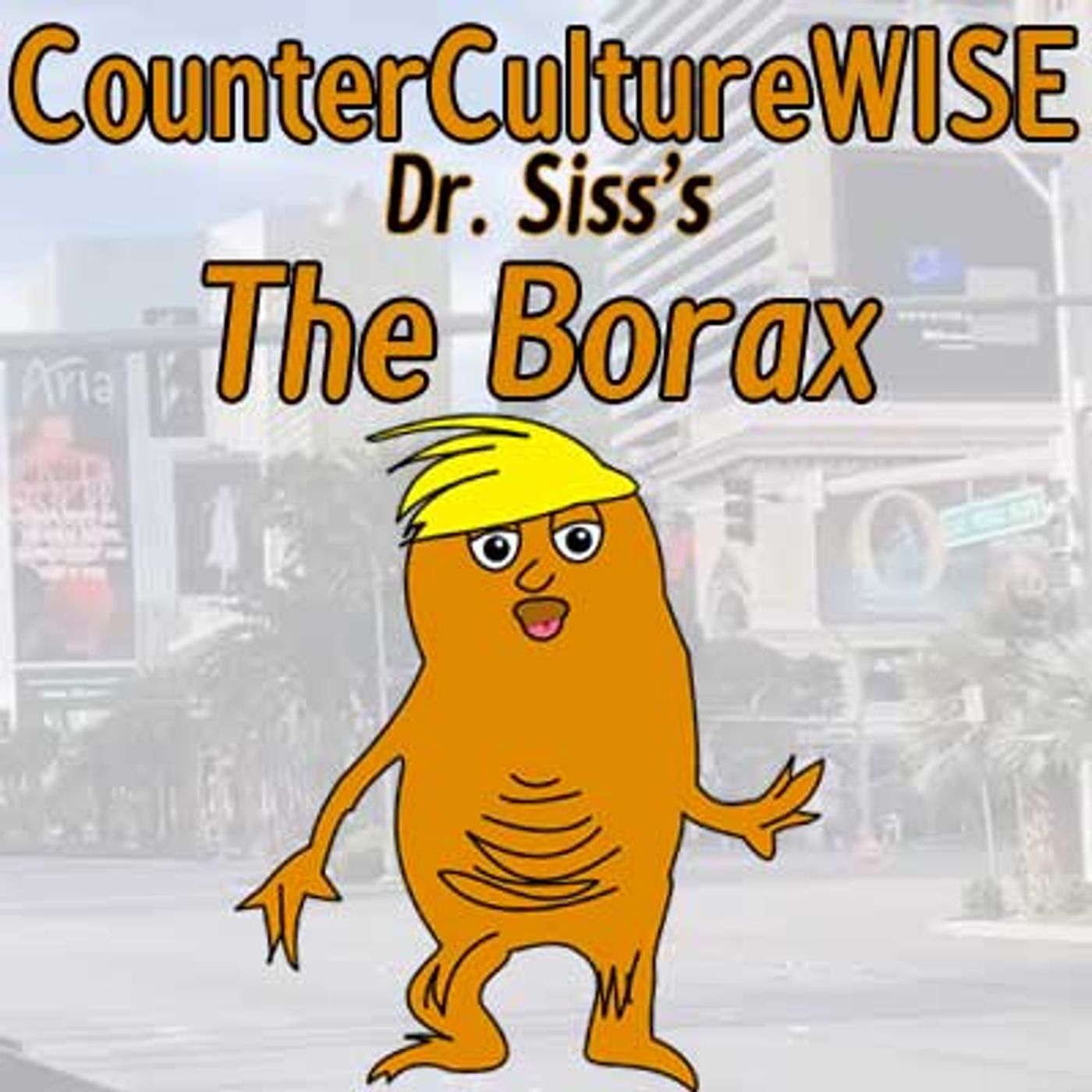 CounterCultureWISE