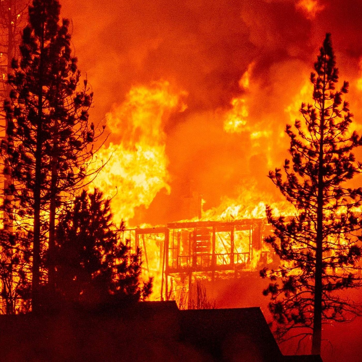 Make A Wildfire Plan Before You Smell Smoke episode artwork