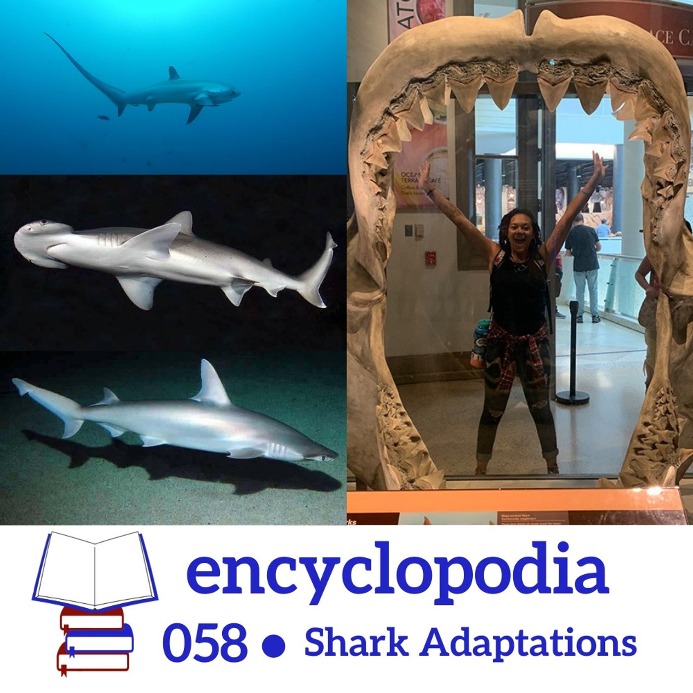 Encyclopodia