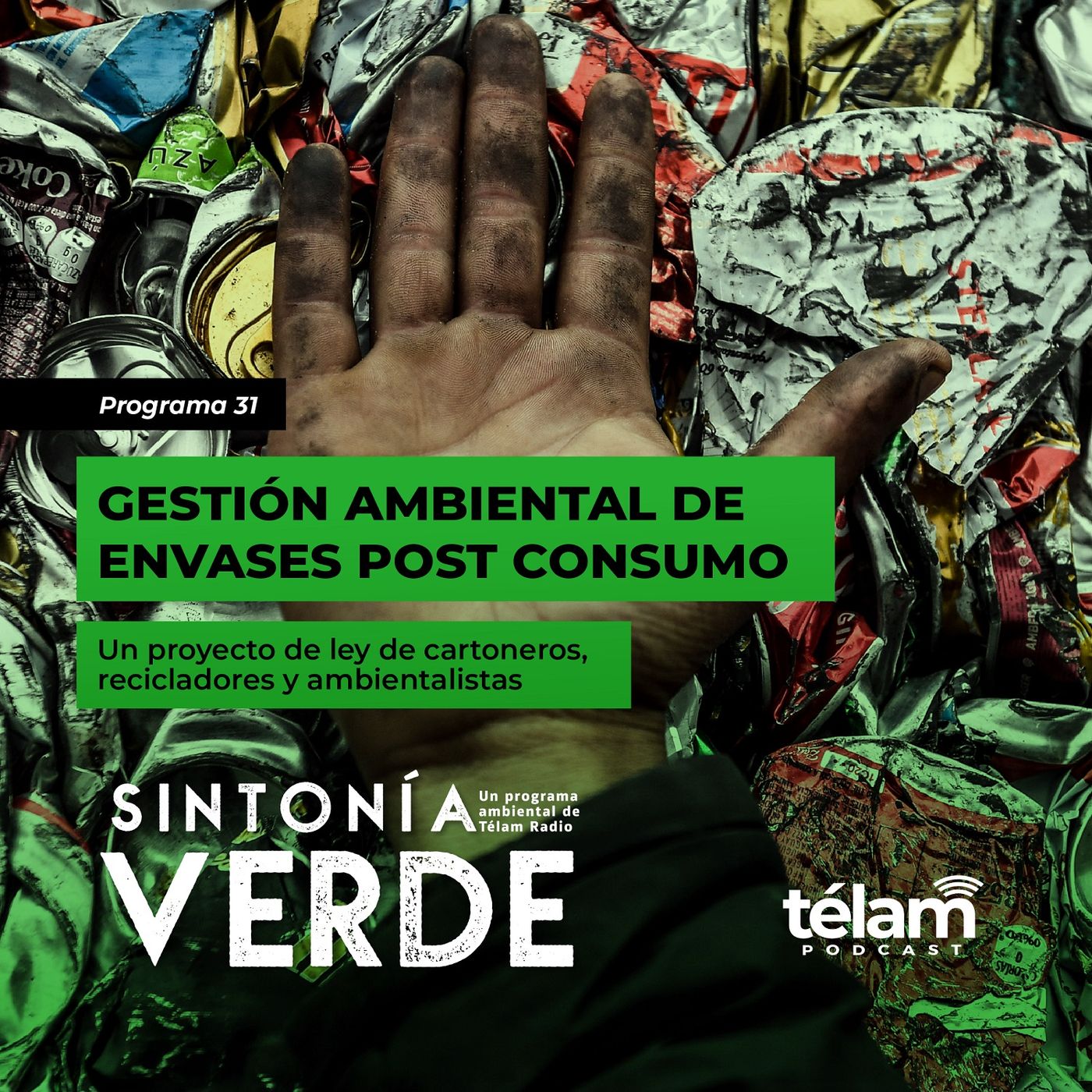 cover of episode Cartoneros, recicladores y ambientalistas presentaron proyecto de ley de gestión de envases