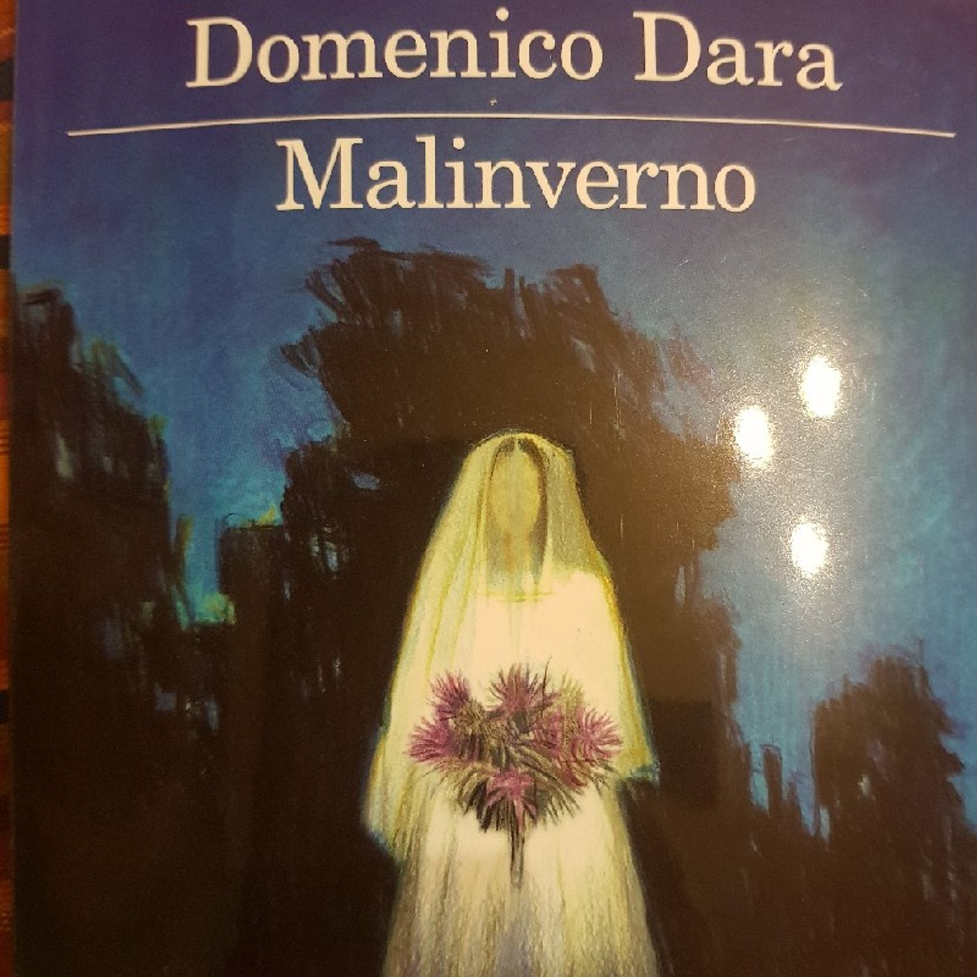 Domenico Dara : Malinverno