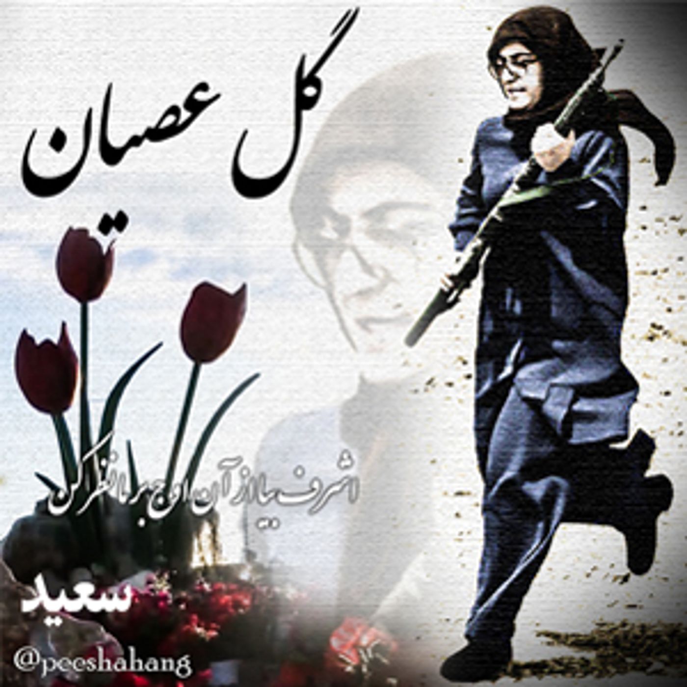 گل عصیان - سعید
