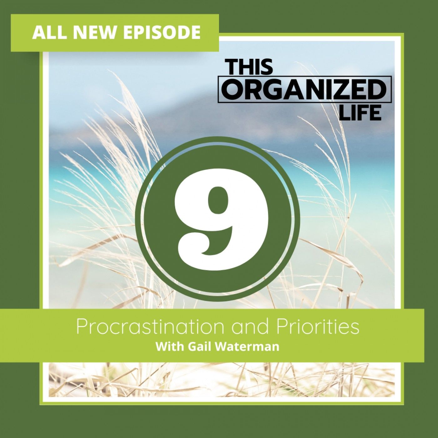 Ep 294: Procrastination and Priorities with Gail Waterman