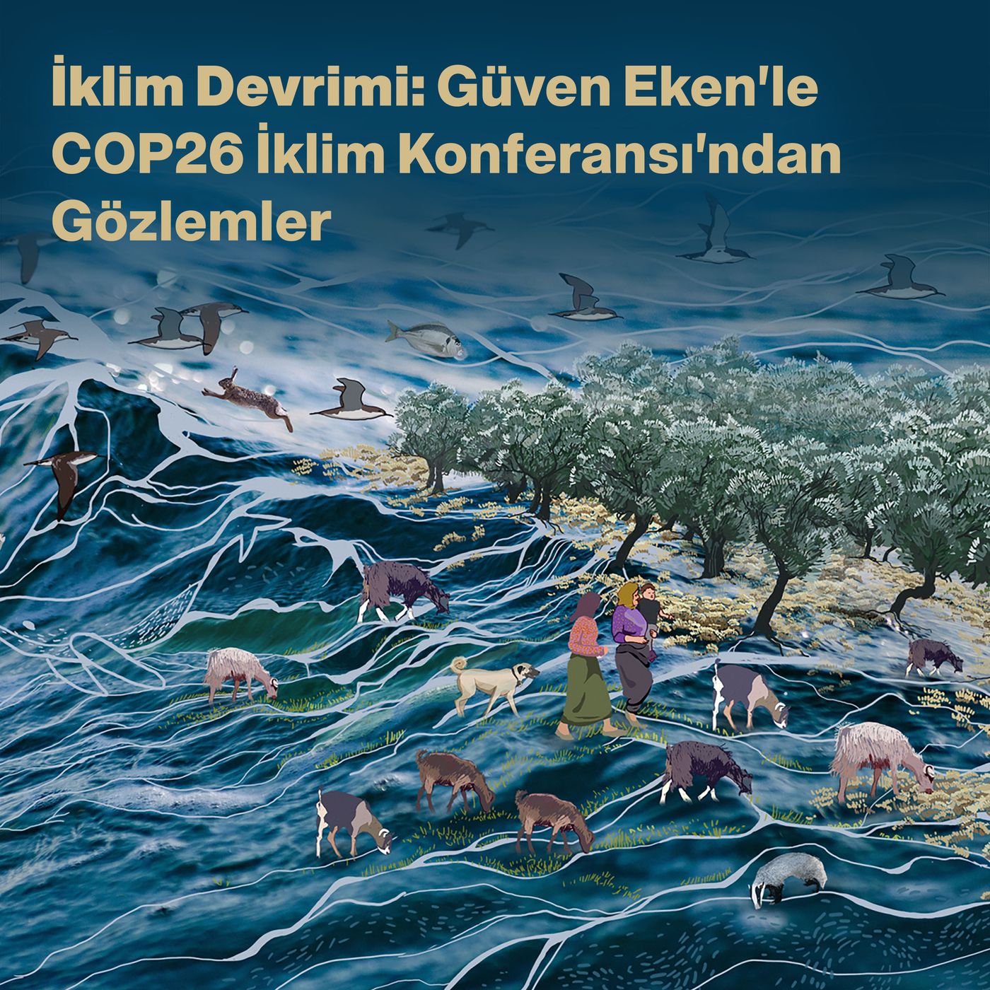 İklim Devrimi: Güven Eken'le COP26 İklim Konferansı'ndan Gözlemler episode artwork