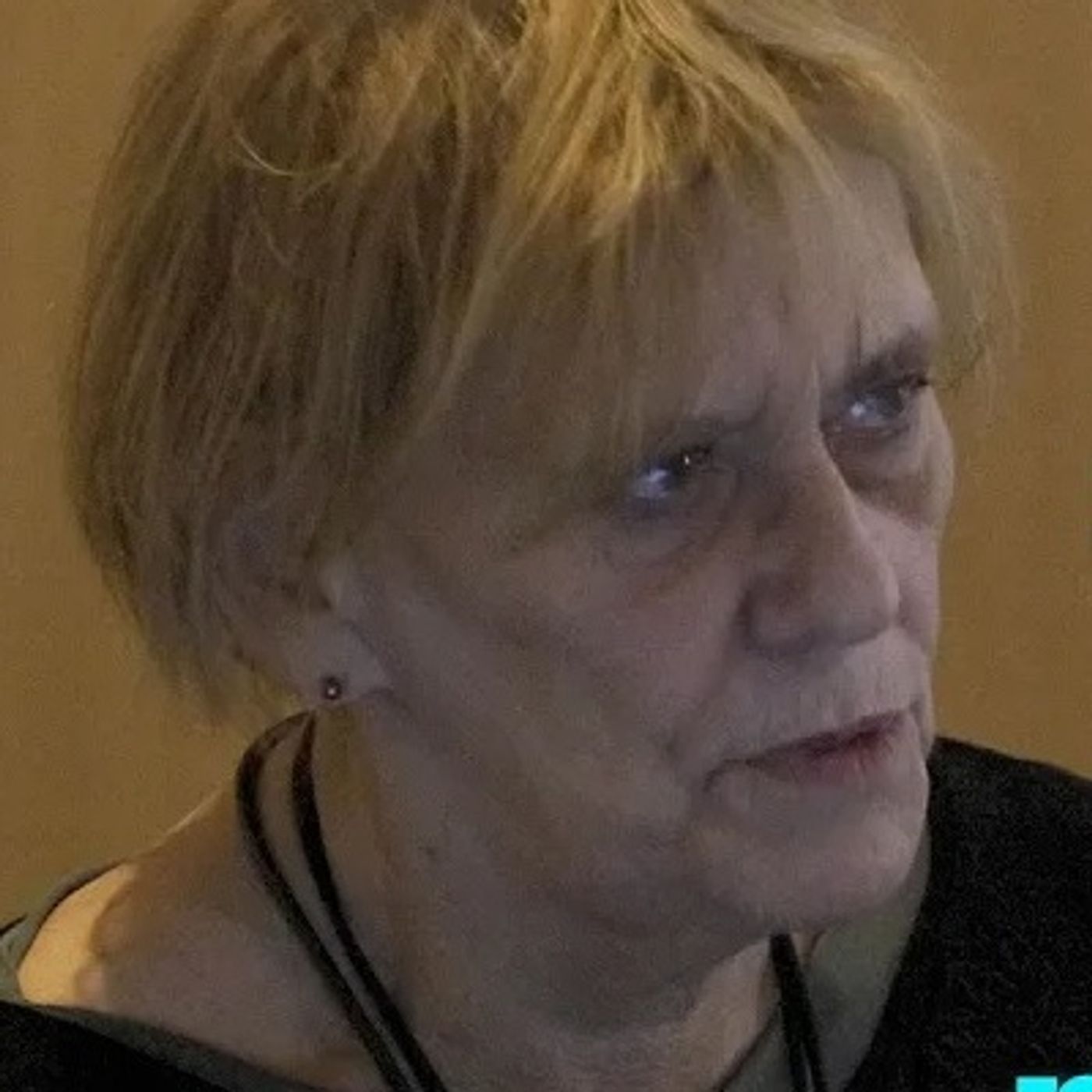 Felvinczi Katalin: Szolgáltatók, programgazdák és fővárosi KEF-ek problémapercepciója | MAT 2024 episode artwork