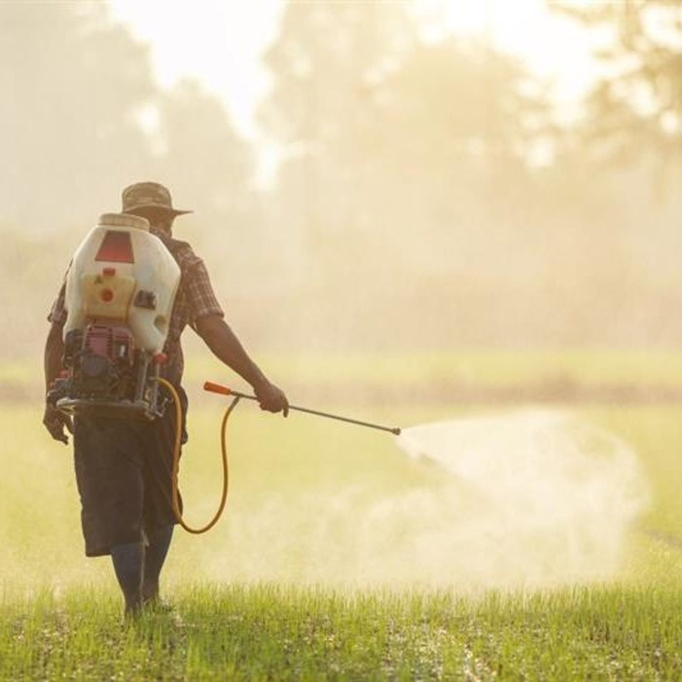 La Ciencia | ¿Una agricultura sin pesticidas es posible? episode artwork