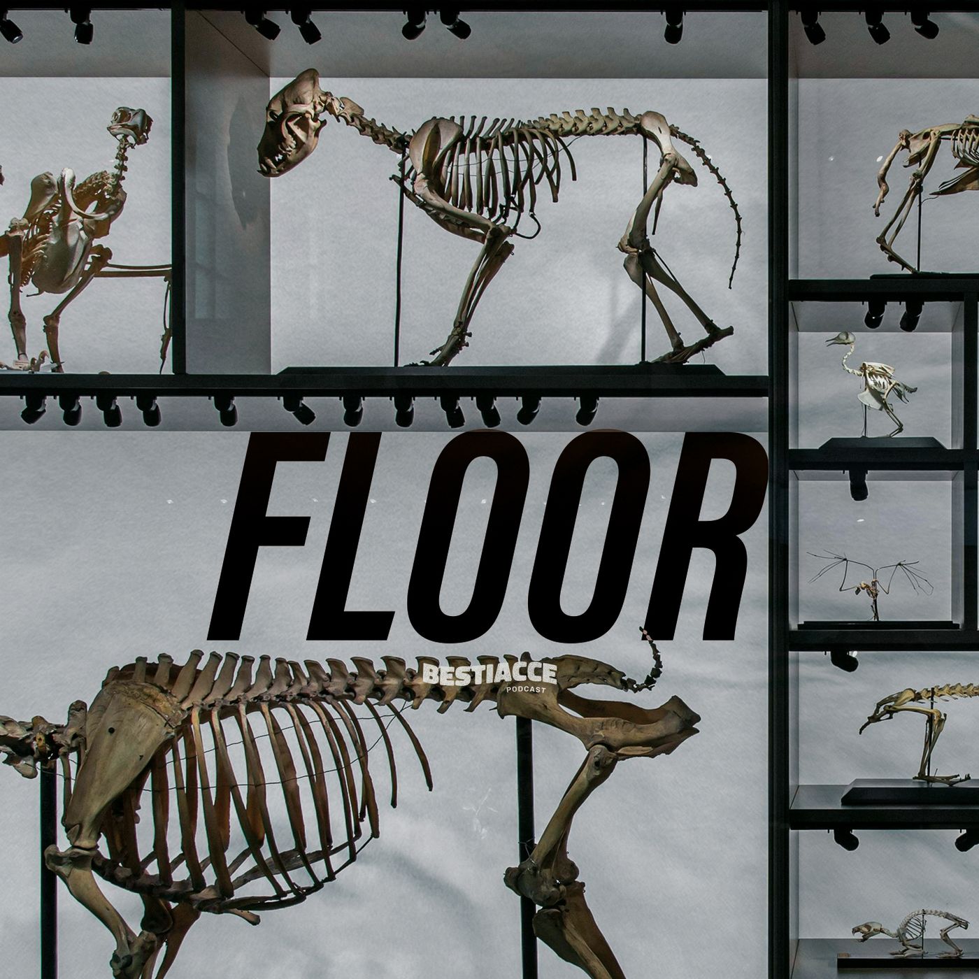 Ep. 30 · FLOOR
