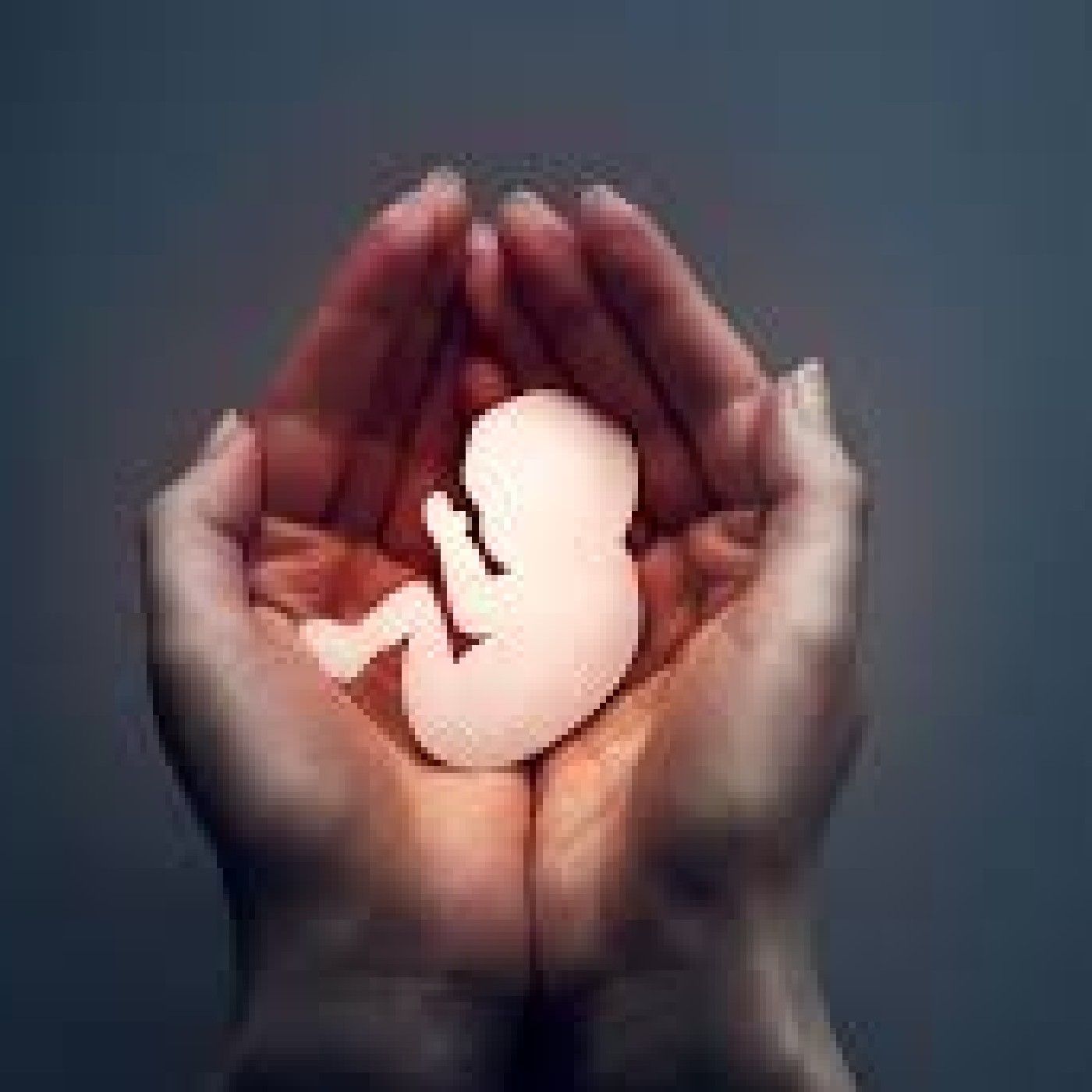 Aborto