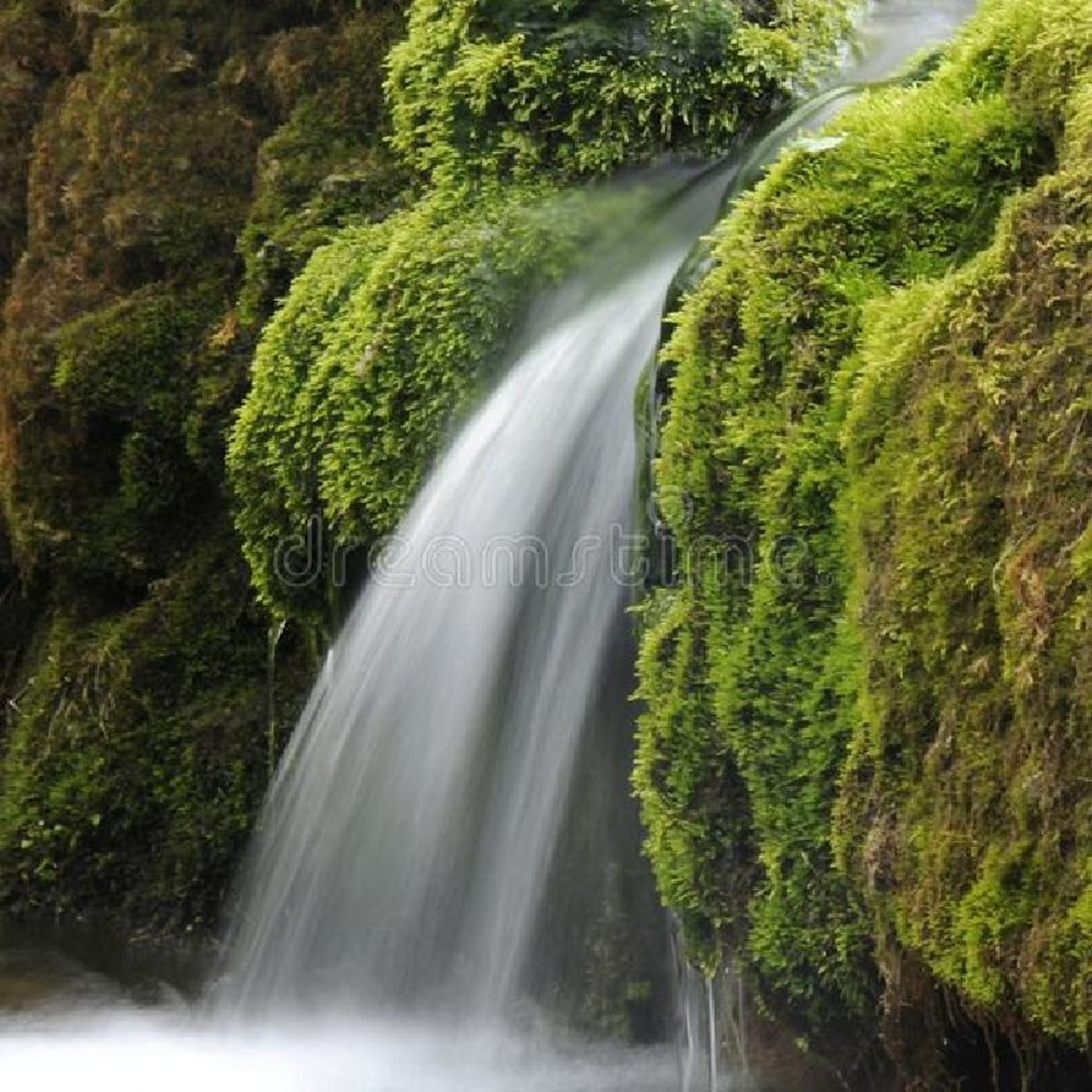 Think Stop - Il Piacere Di Pensare