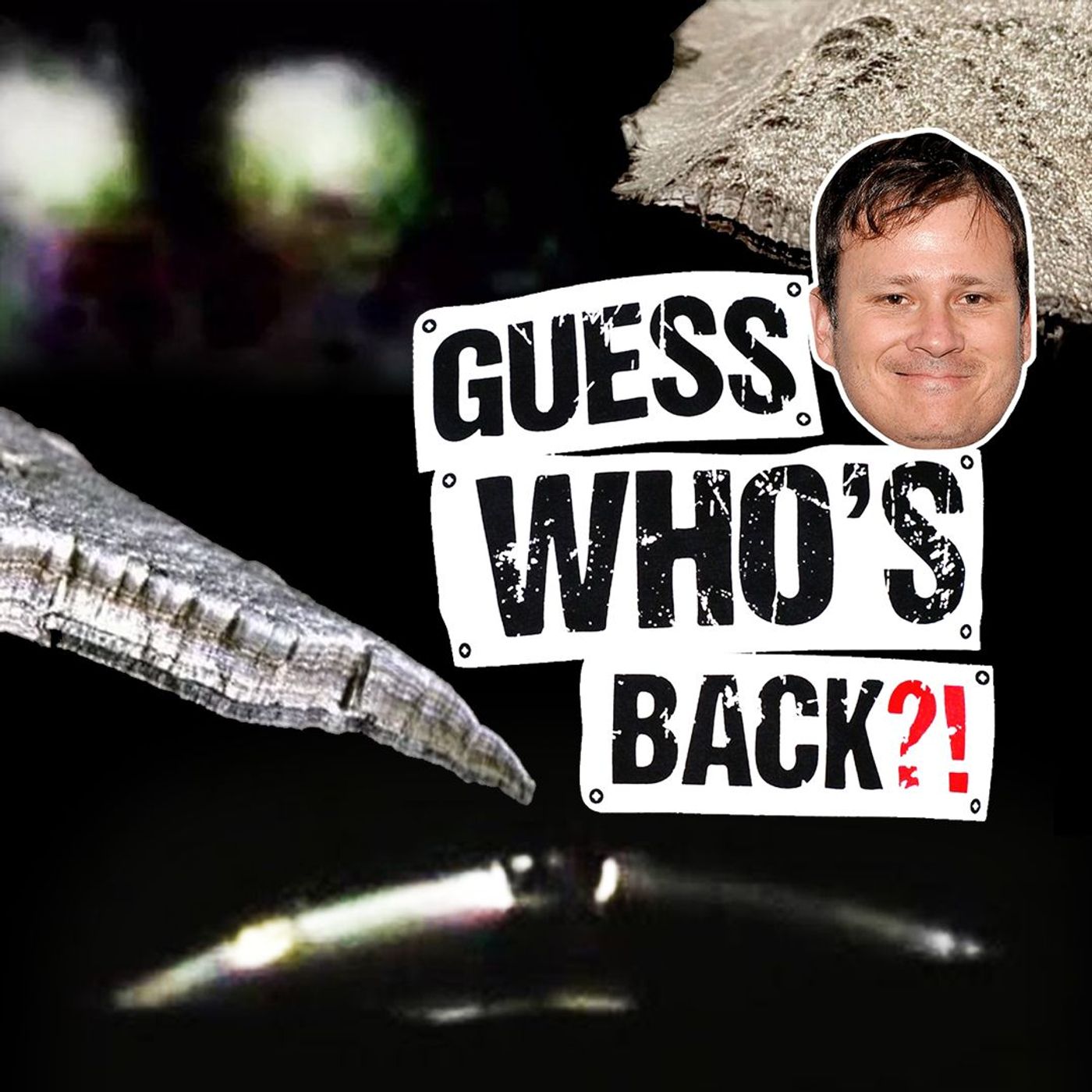 Return Of The Turkey UFO And What Are Metamaterials??