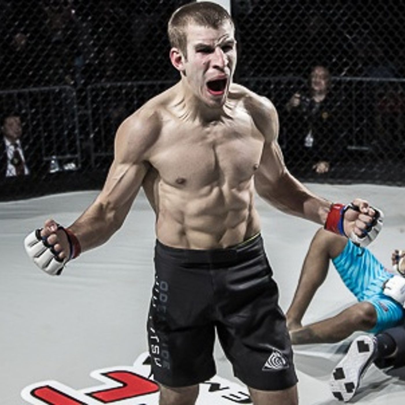 Fightlete Interview Podcasts