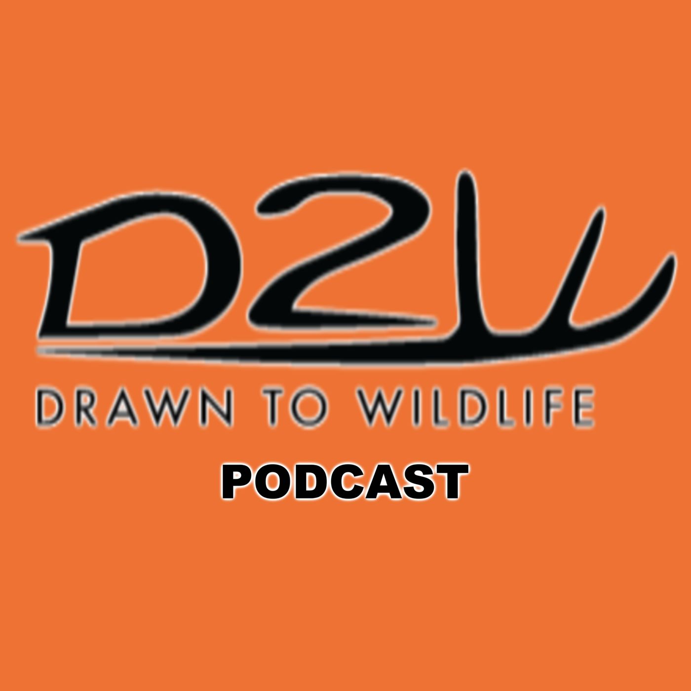 Drawn To Wildlife